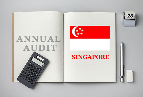 新加坡公司年审费用