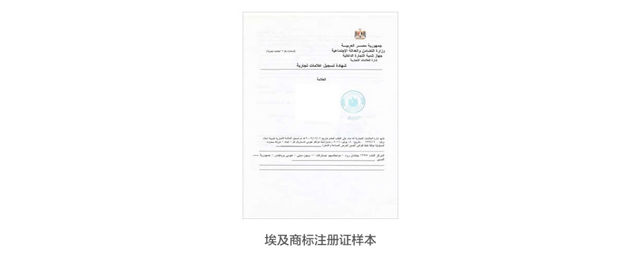 埃及商标注册证样本