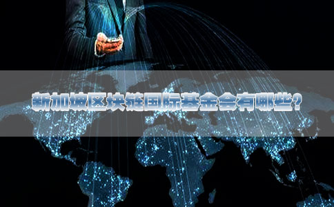 新加坡区块链国际基金会有哪些