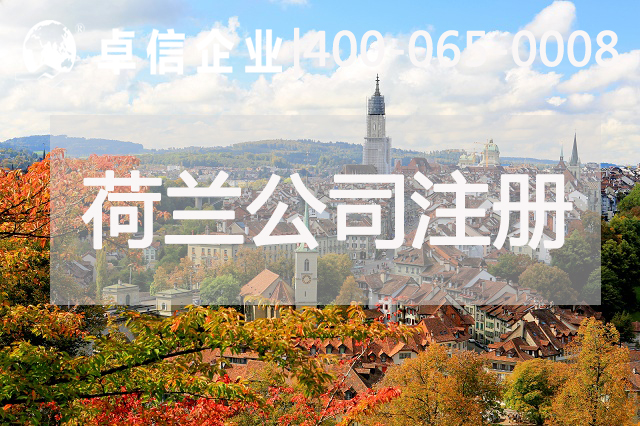 荷兰公司注册类型有哪些