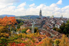 荷兰电子商务蓬勃发展 外商投资VAT注册少不了