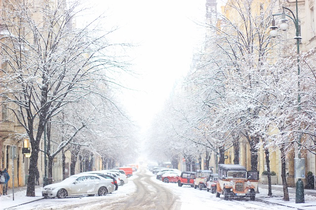 解答捷克公司注册办理流程是怎么样的