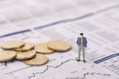 扒一扒注册菲律宾公司股东董事都有哪些要求