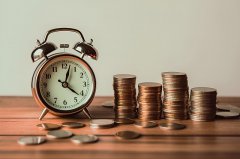 巴林公司类型有哪些 巴林公司注册需要满足什么条件