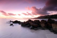 塞舌尔公司可以做基金会公司注册吗