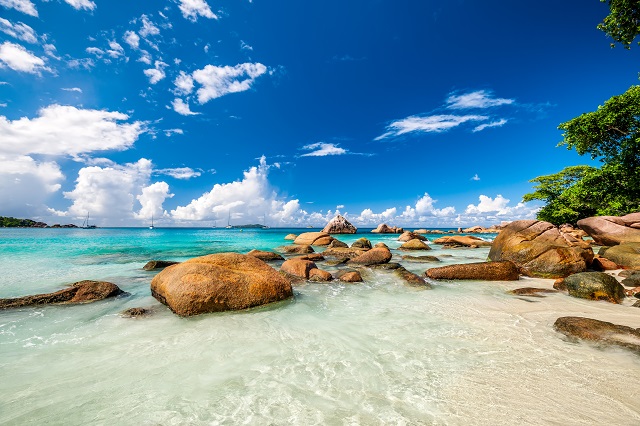 塞舌尔公司注册全攻略：关键要点与注意事项