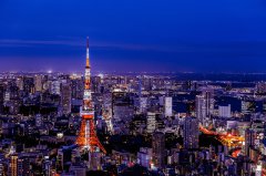 日本公司注册中的日籍代表：法律规定与实践考量