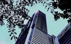 解析荷兰公司办理注销需要哪些费用