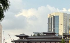 新加坡公司董事和股东为同一人有什么要求