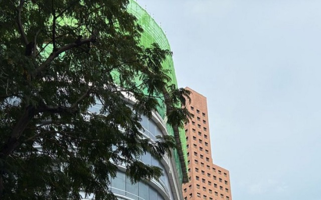 马来西亚担任公司董事的条件全解析