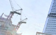 在法国设立公司，可供选择的公司形式包含哪些