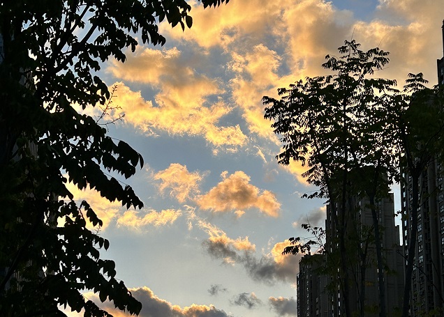 香港高才通续签的申请时间有要求吗